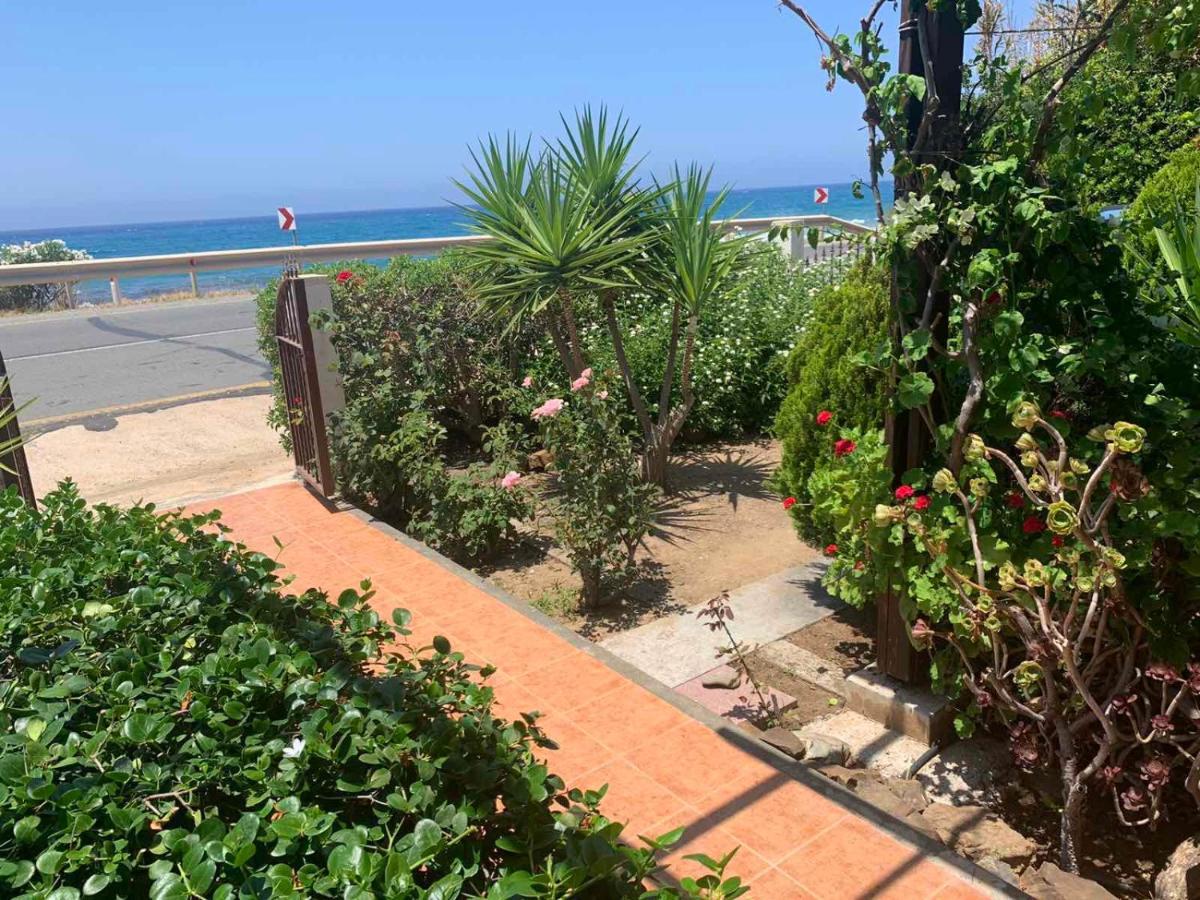 Spiti Damianos Villa Beachfront Pomos Bagian luar foto